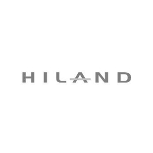 Hiland Group